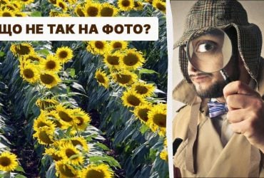 Тільки справжній детектив знайде помилку в полі за 5 секунд: складний IQ-тест