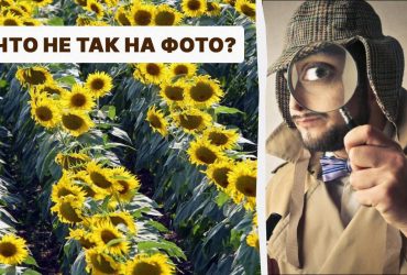 Только настоящий детектив найдет ошибку в поле за 5 секунд: сложный IQ-тест