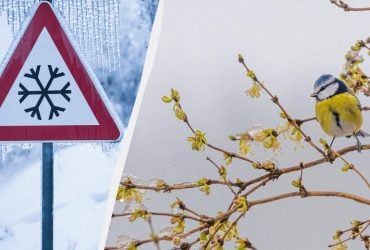 На Львівщині оголосили червону небезпеку: температура впаде до -10° (інфографіка)