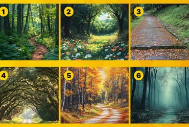 Какую лесную тропу вы выберете: психологический тест на скрытые черты характера