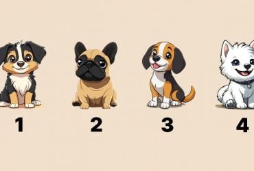 Вибір собаки розкриє ваш характер і майбутнє: точний тест на тип особистості