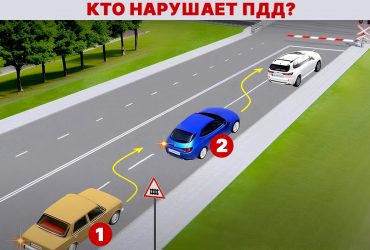 Насколько хорошо вы знаете ПДД: нужно определить нарушителя