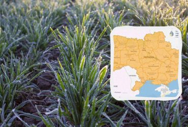 Зима не відпускає: Укргідрометцентр попереджає про заморозки до -5° (карта)