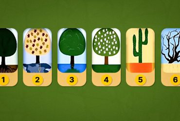 Сердце или разум: тест на личность покажет, как вы видите мир