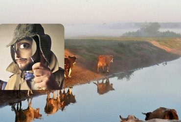 Лише справжній геній знайде собаку за 10 секунд: дуже складна оптична ілюзія