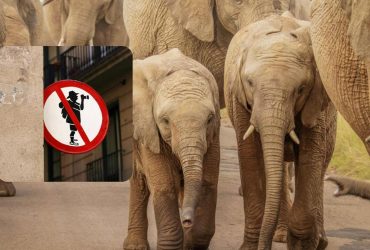 Туристи розповіли про розваги, про які шкодуватимуть до самої смерті