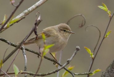 Суттєвого тепла поки чекати не варто: синоптик засмутив українців прогнозом