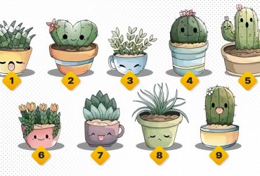 Выбор кактуса спрогнозирует карьерный рост: тест на личность с точностью 99%