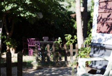 Какие деревья нельзя сажать возле дома: приносят одни неприятности