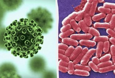 Учені винайшли фарбу, здатну знищувати найагресивніші віруси і бактерії