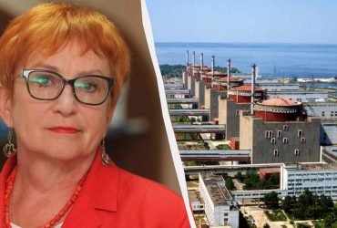 Эксперт объяснила, реально ли подключить ЗАЭС к российской энергосистеме