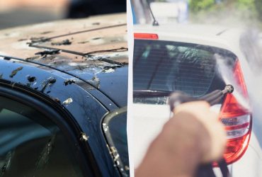 Птицы больше не будут гадить на авто: вот что нужно сделать