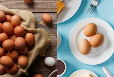 Как лучше всего готовить яйца: раскрыт самый полезный способ