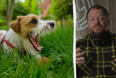 Эскперт назвал худший способ остановить плач и лай собаки