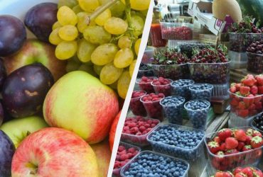 Що буде з урожаєм фруктів і ягод в Україні: експерти дали невтішний прогноз
