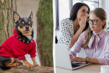 Вчені виявили, що собаки підслуховують людей: дослідження