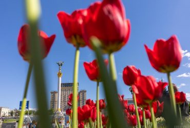 Сегодня киевлян порадует 20-градусное тепло