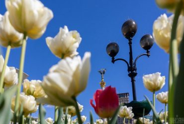 Сегодня в Киеве будет много солнца, но станет прохладнее