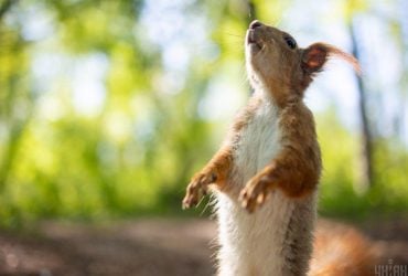 Останній тиждень літа почнеться осінньою свіжістю, а закінчиться спекою, - синоптикиня