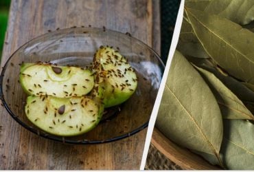 Мошки исчезнут навсегда: простое решение от насекомых без химии