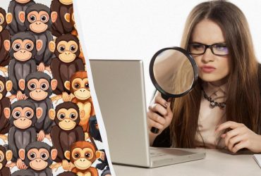 Все видят обезьян, и только 1% гениев могут найти сову за 5 секунд в хитрой головоломке