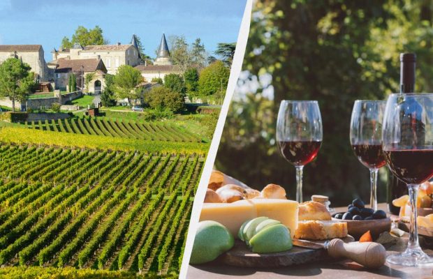 Красиво і смачно: названо десять винних регіонів Європи, які варто відвідати у 2025 році