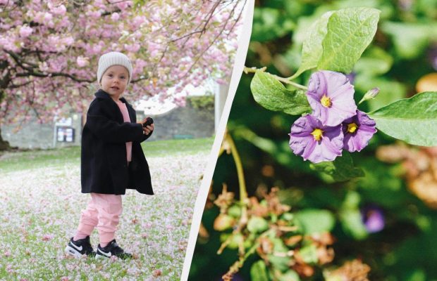 Что за праздник отмечаем в Украине 15 апреля 2025: важнейшие приметы и традиции