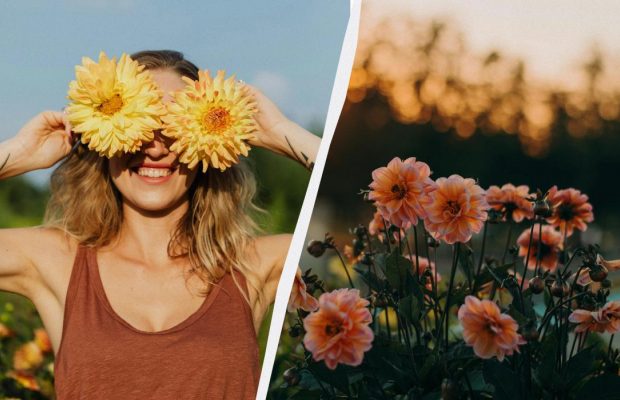 Кого нужно поздравить 23 апреля 2025: всё про праздник сегодня и его запреты