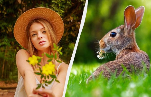 Какой праздник 26 апреля 2025 года наступает в Украине: интересные факты об этом дне