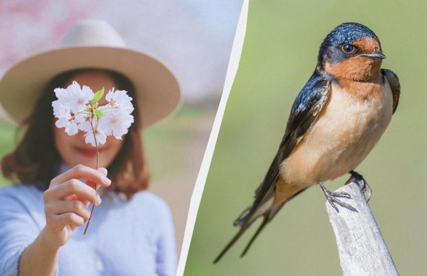 Нужно сделать 3 дела для счастья: обычаи и традиции в праздник 28 апреля 2025