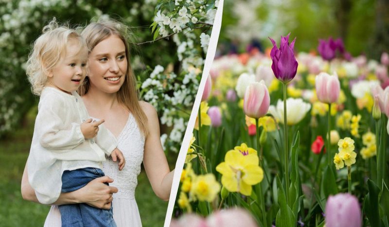 Что сегодня за праздник / коллаж УНИАН, фото pexels Что сегодня за праздник / коллаж УНИАН, фото pexels
