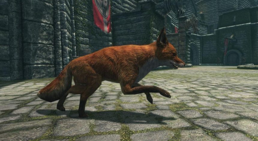 Разработчик Skyrim заявил, что лисы в игре на самом деле не ведут к спрятанным сокровищам