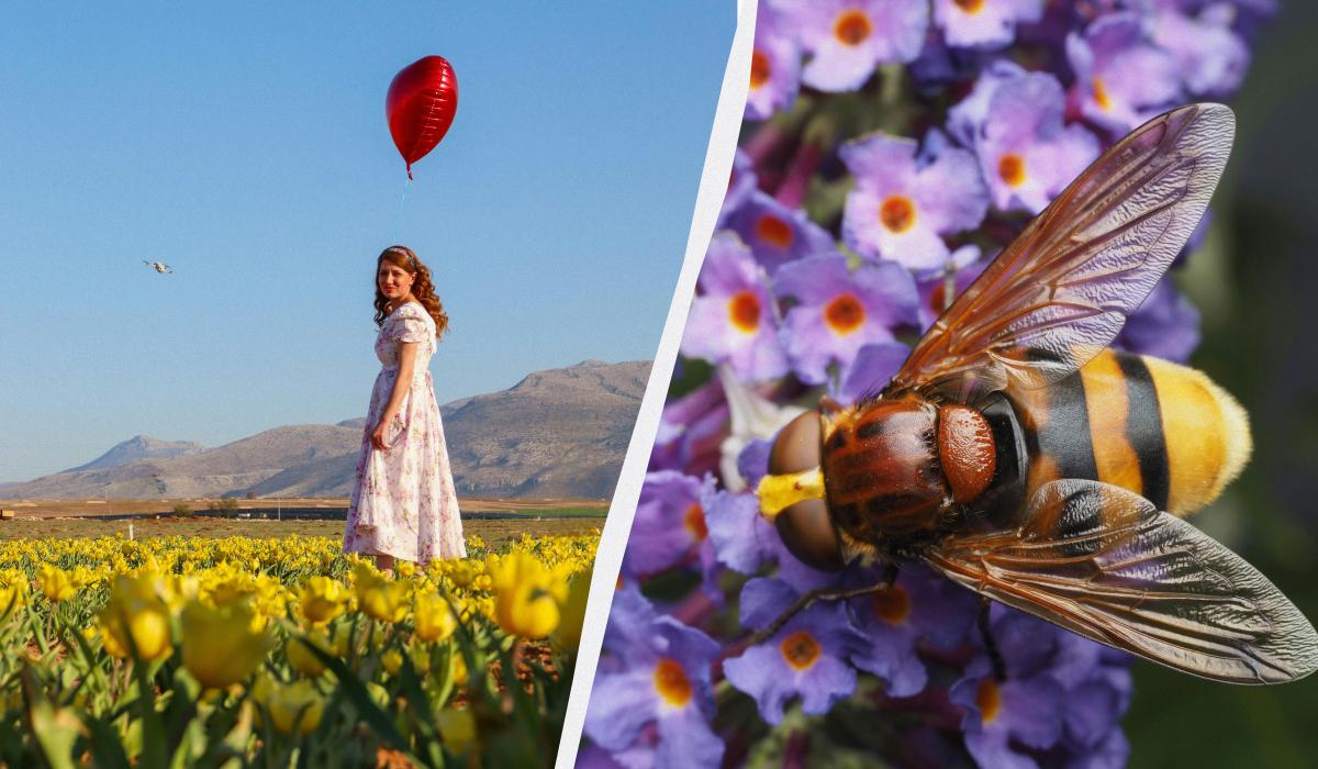Что сегодня за праздник / коллаж УНИАН, фото pexels
