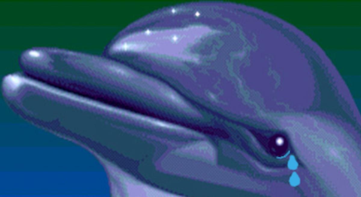 Ecco the Dolphin получит ремастер / Фото - SEGA Ecco the Dolphin получит ремастер / Фото - SEGA