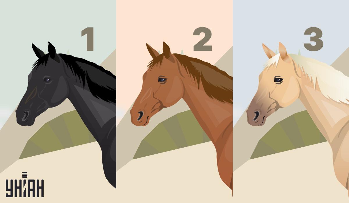 Тест на тяжелый характер / коллаж УНИАН Тест на тяжелый характер / коллаж УНИАН