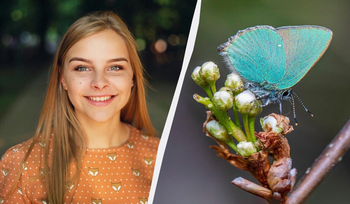 Что сегодня за праздник / коллаж УНИАН, фото pixabay Что сегодня за праздник / коллаж УНИАН, фото pixabay