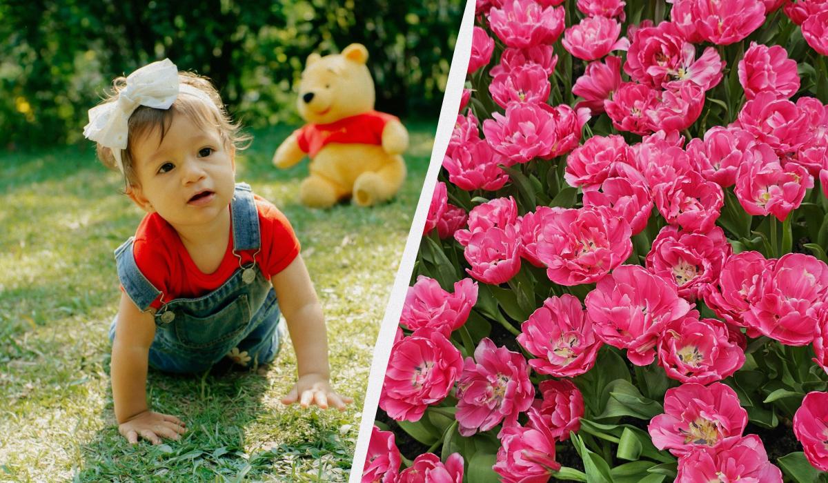 Що сьогодні за свято / колаж УНІАН, фото pexels Що сьогодні за свято / колаж УНІАН, фото pexels