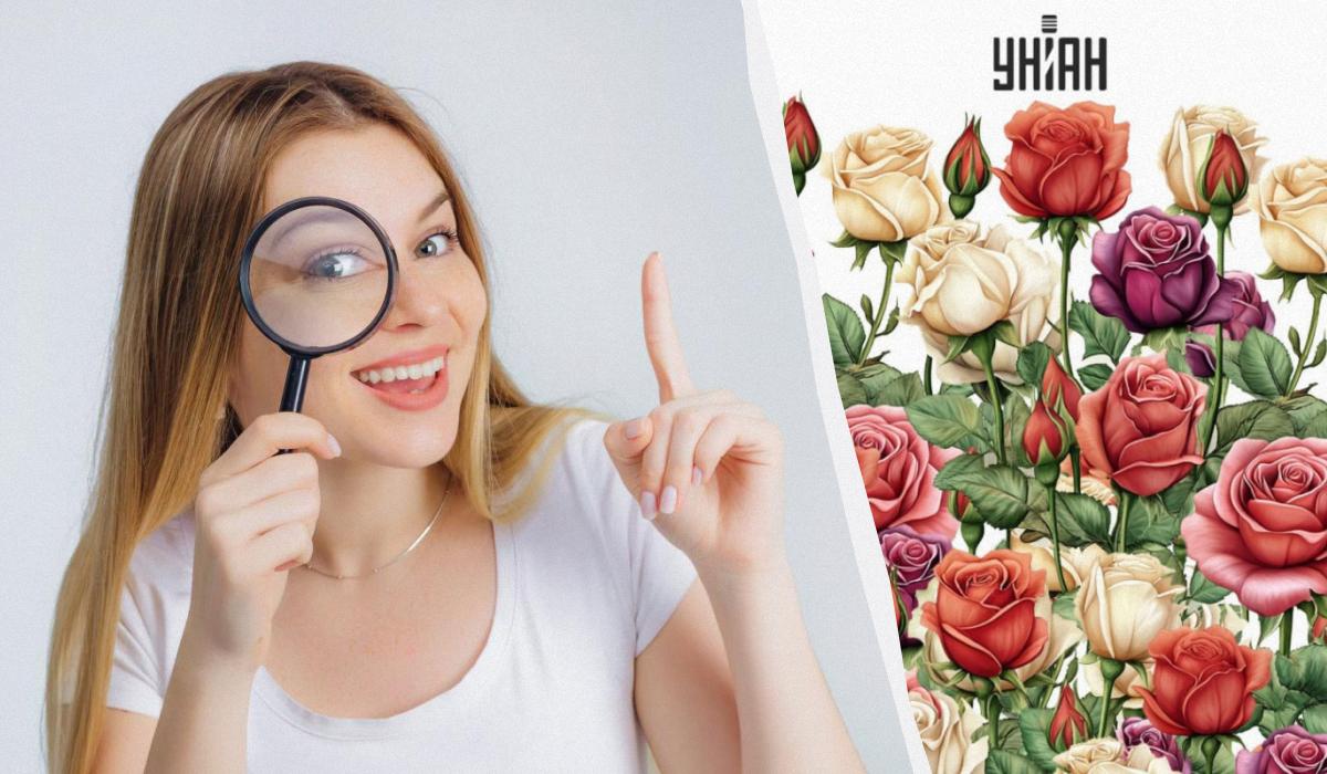 Только 5% людей могут найти конфету в розах за 11 секунд в волшебной оптической иллюзии