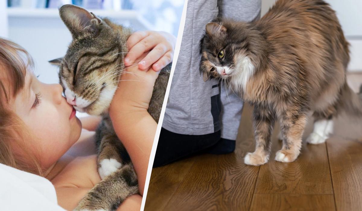 /колаж УНІАН, фото ua.depositphotos.com /колаж УНІАН, фото ua.depositphotos.com