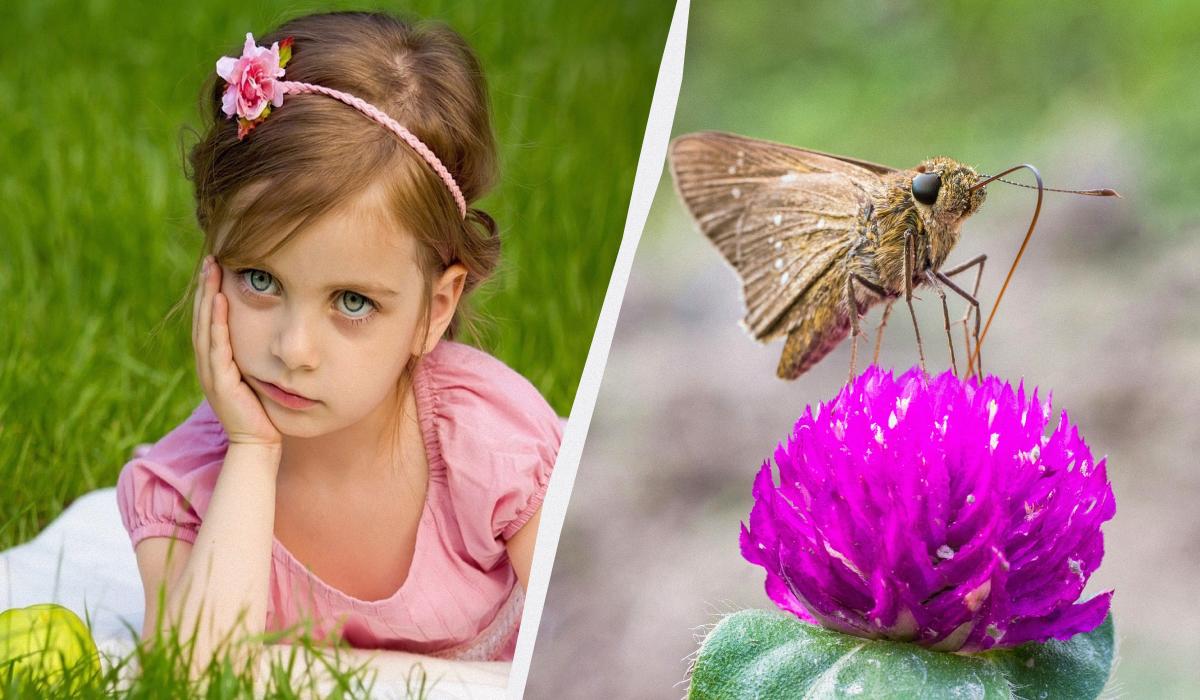 Что сегодня за праздник / коллаж УНИАН, фото pexels