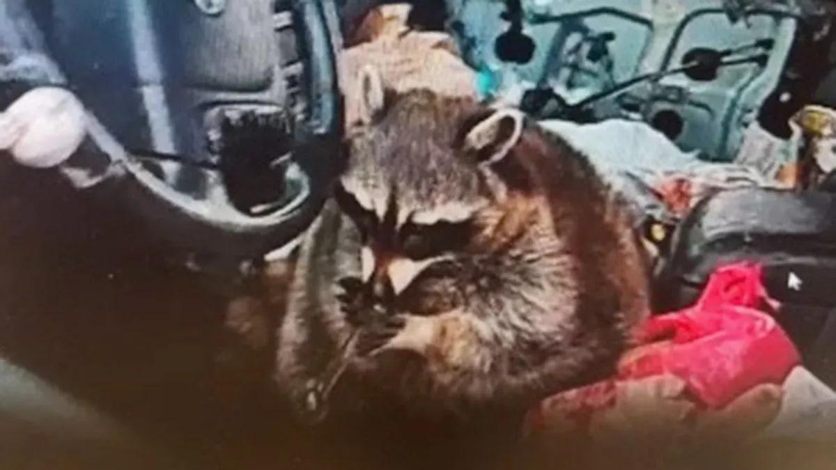 Поліція виявила незвичайного водія з трубкою для наркотиків / фото Springfield Township Police Department Поліція виявила незвичайного водія з трубкою для наркотиків / фото Springfield Township Police Department