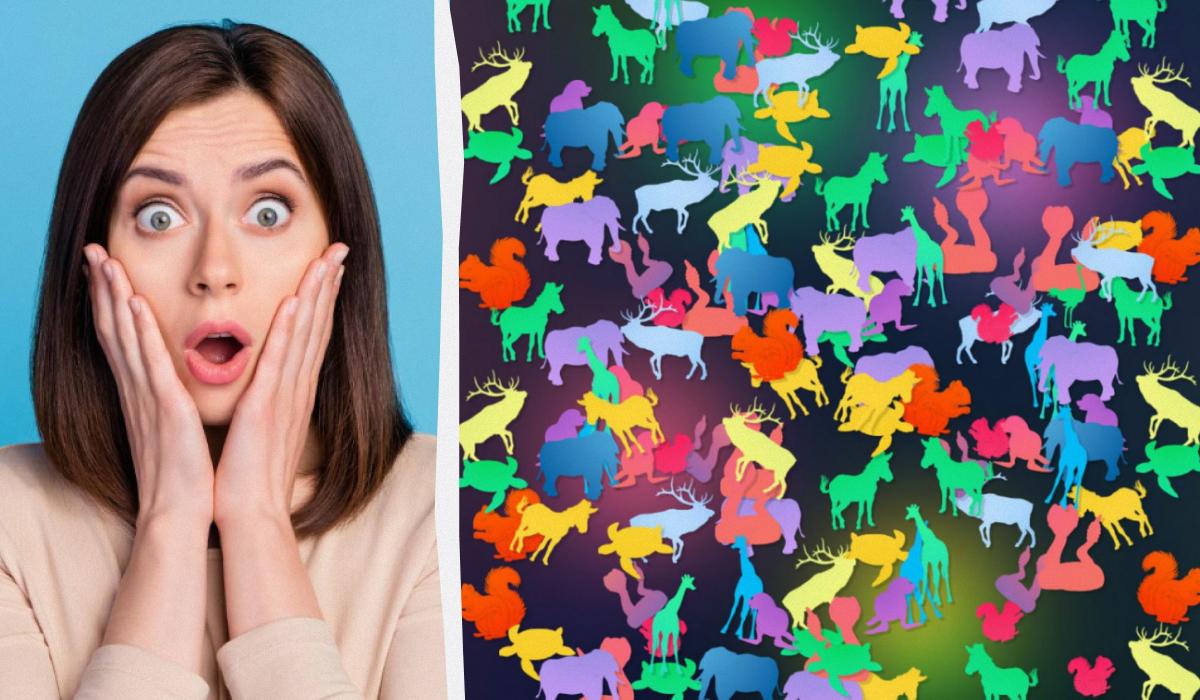 Уважно подивіться  на зображення / Колаж УНІАН / фото ua.depositphotos.com, УНІАН