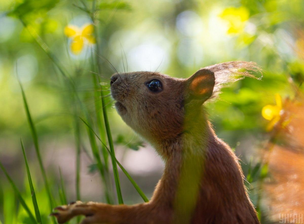 23 июля в Киеве будет по-летнему теплая погода / фото УНИАН 23 июля в Киеве будет по-летнему теплая погода / фото УНИАН