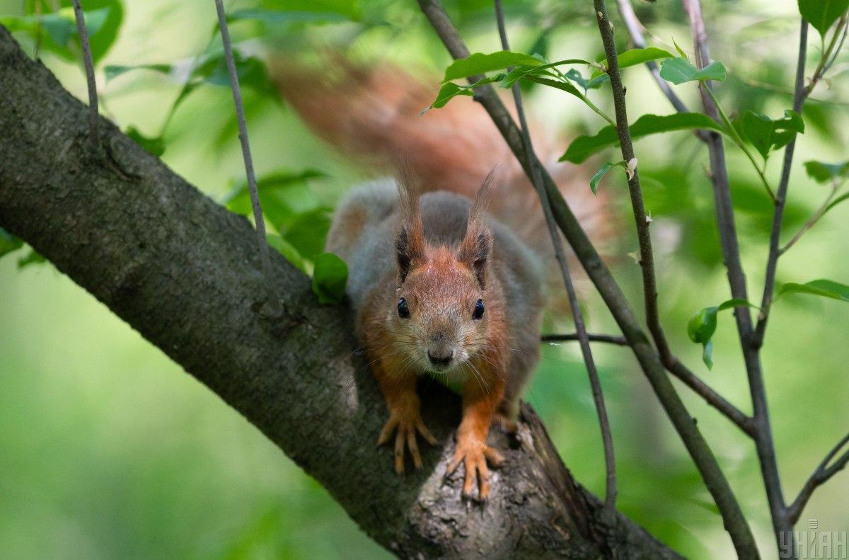 1 июля жары в Киеве не будет / фото УНИАН 1 июля жары в Киеве не будет / фото УНИАН