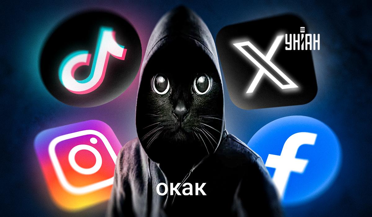 Что значит мем О как: откуда взялся кот в капюшоне и как использовать картинку