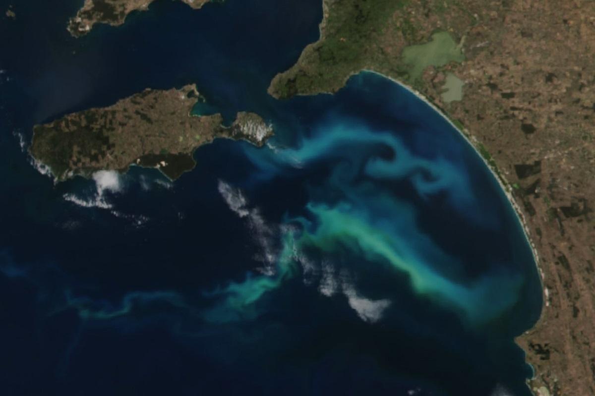 В NASA зафиксировали в океане гигантскую форму жизни: ее видно даже из космоса