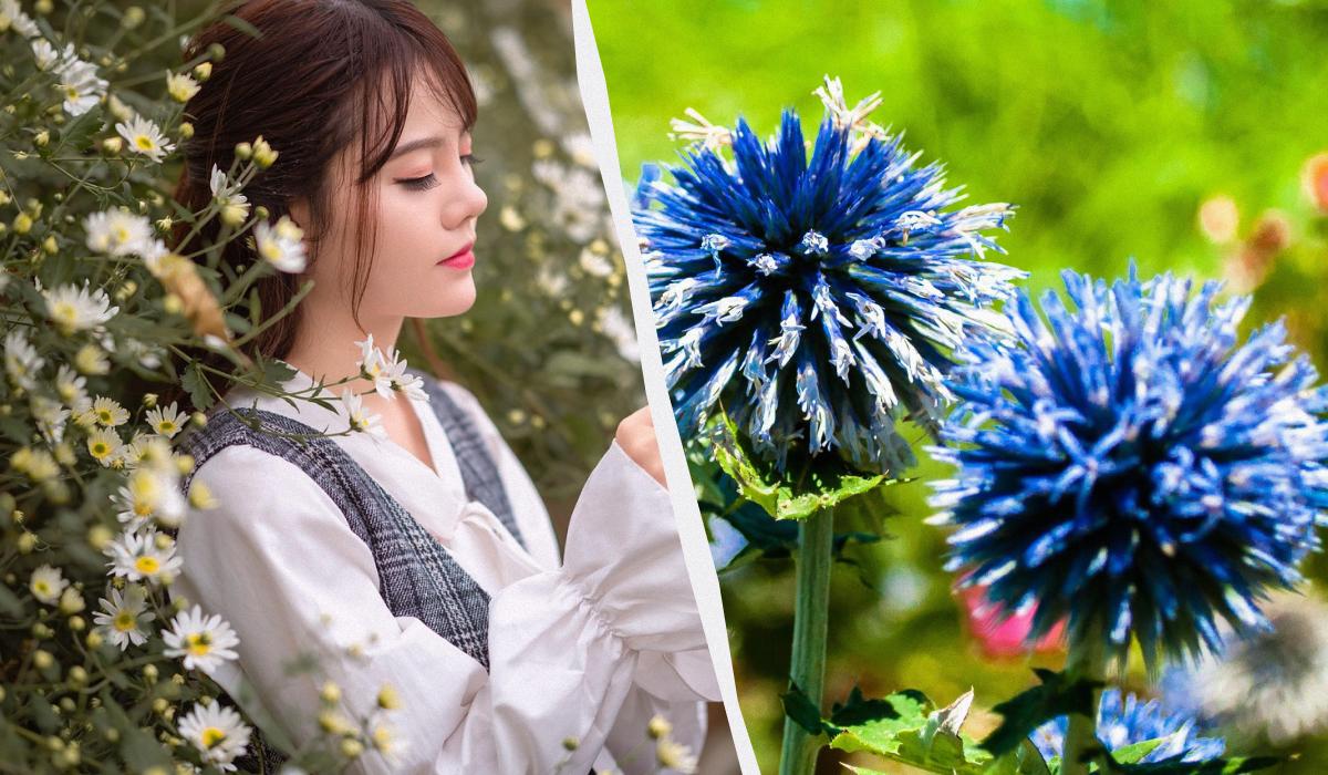 Что сегодня за праздник / коллаж УНИАН, фото pexels Что сегодня за праздник / коллаж УНИАН, фото pexels