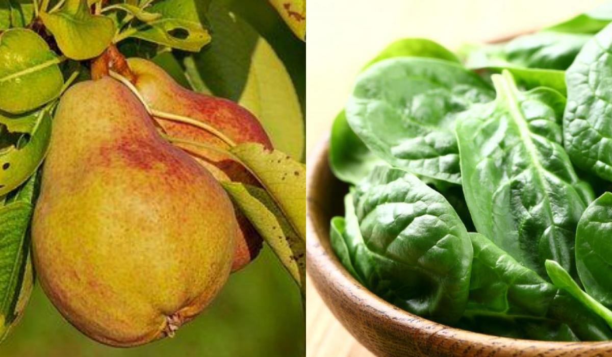 Дізнайтеся, які продукти особливо багаті на клітковину / колаж УНІАН, фото pixabay.com, ua.depositphotos.com Дізнайтеся, які продукти особливо багаті на клітковину / колаж УНІАН, фото pixabay.com, ua.depositphotos.com