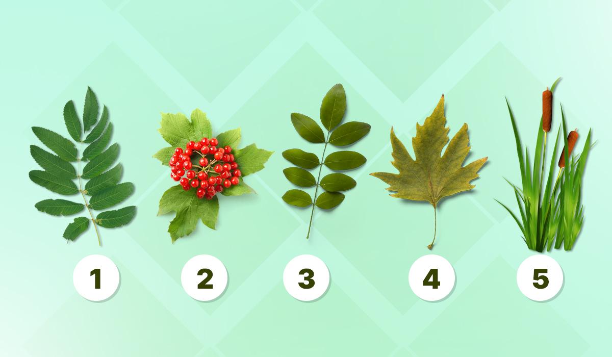 Тест-рентген на качества характера / изображение УНИАН Тест-рентген на качества характера / изображение УНИАН