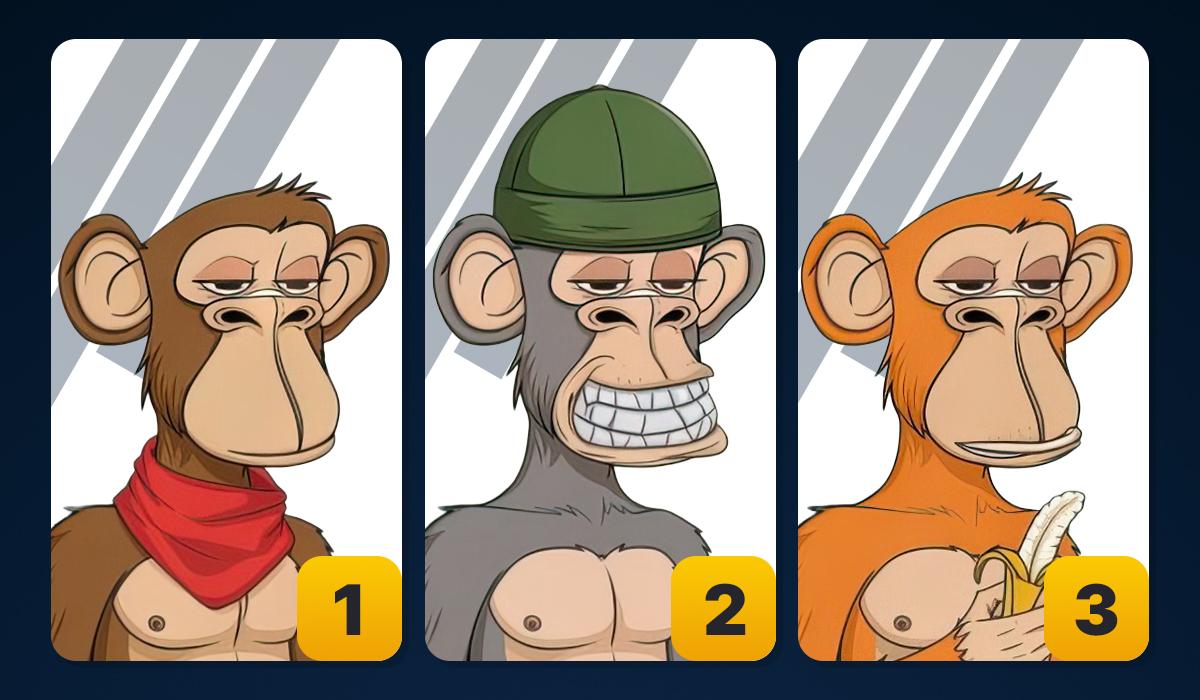 Нужно выбрать обезьянку / изображение УНИАН Нужно выбрать обезьянку / изображение УНИАН